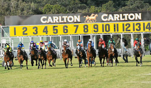 Federal Court ruling still leaves some racing industry funding question unanswered. Federal Court ruling still leaves some racing industry funding question unanswered.